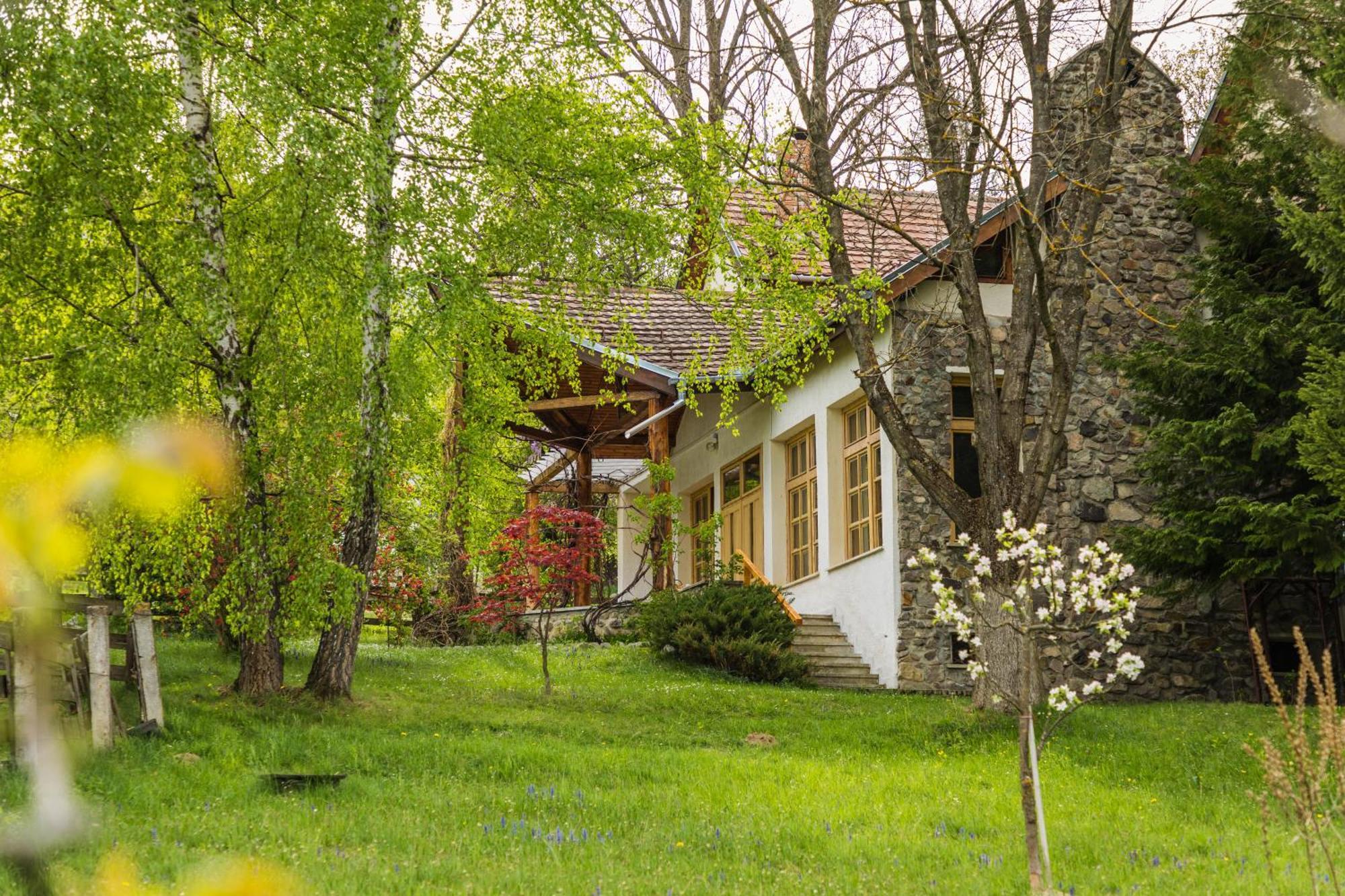 Villa Alba By Akasha Retreat Бран Экстерьер фото